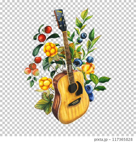 Watercolor Acoustic Guitar with forest berries blueberry cranberry cloudberry. Hand painted illustration of musical instrument. Wooden music string instrument. Isolated on white background for a 117365828