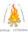 Watercolor fireplace with fire coals or woodfire and marshmallows on a sticks. Camping fire and dinner, sweets, roasted food. Hand drawn orange and red fire in forest or beach isolated on white 117365845