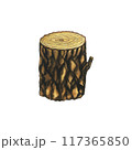 Watercolor wood tree stump, log. Cartoon piece of wood. Broken oak, linden, maple, cedar. Hand drawn illustration Isolated on white background. Touristic equipment for recreation tourism, camping and 117365850