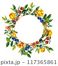 Watercolor round frame with hand drawn cloudberry, cranberry, cowberry and blueberry with berries, leaves, branches. Botanical forest berry illustration on white isolated background. Good for banner 117365861