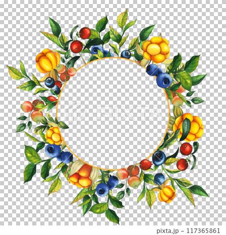 Watercolor round frame with hand drawn cloudberry, cranberry, cowberry and blueberry with berries, leaves, branches. Botanical forest berry illustration on white isolated background. Good for banner 117365861