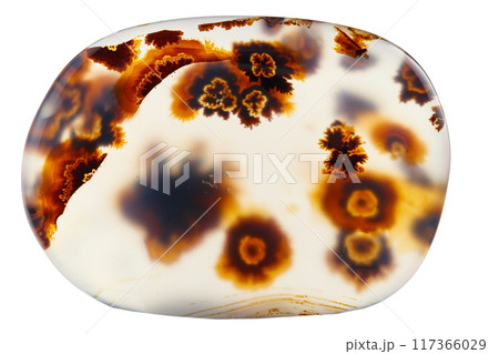 Macro mineral stone Moss Agate, Agate muschiataan white Macro mineral stone Moss Agate, Agate muschiataan white 117366029