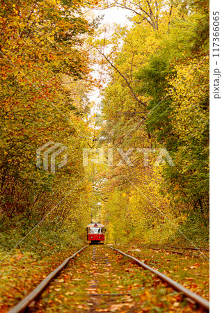 Autumn forest through which an old tram rides (Ukraine) Autumn forest through which an old tram rides (Ukraine) 117366065