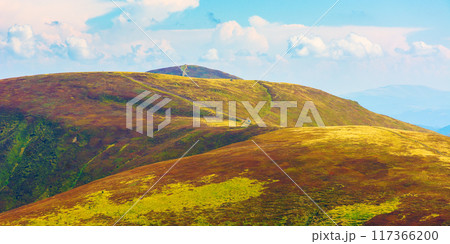 carpathian mountain landscape of ukraine in august. scenery with rolling hills and colorful alpine meadows. borzhava ridge on a sunny day. outdoor adventures carpathian mountain landscape of ukraine in august. scenery with rolling hills and colorful alpine meadows. borzhava ridge on a sunny day. outdoor adventures 117366200