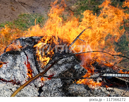 The smoke from the fire is drifting upwards into the clear sky. The smoke from the fire is drifting upwards into the clear sky. 117366272