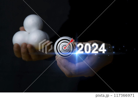 Concept, goals, aiming for success Target year 2024 Concept, goals, aiming for success Target year 2024 117366971