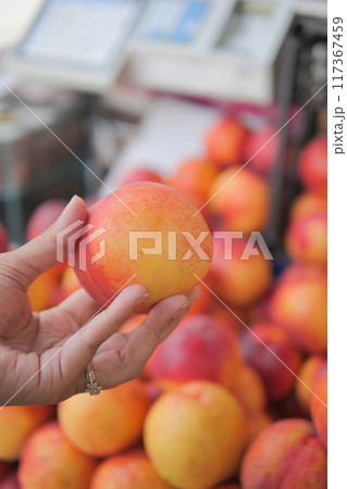 Fresh, ripe nectarines available at the farmers market, perfect for a healthy snack Fresh, ripe nectarines available at the farmers market, perfect for a healthy snack 117367459