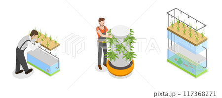 3D Isometric Flat Illustration of Hydroponics, Aeroponics And Aquaponics In Greenhouse, Agriculture Methods for Crop Cultivation 3D Isometric Flat Illustration of Hydroponics, Aeroponics And Aquaponics In Greenhouse, Agriculture Methods for Crop Cultivation 117368271