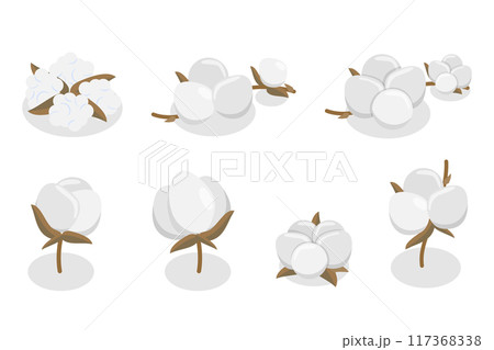 3D Isometric Flat Illustration of Cotton Flower Collection, Pure and Organic Product 3D Isometric Flat Illustration of Cotton Flower Collection, Pure and Organic Product 117368338
