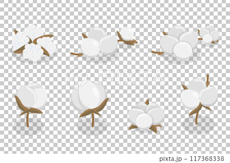 3D Isometric Flat Illustration of Cotton Flower Collection, Pure and Organic Product 3D Isometric Flat Illustration of Cotton Flower Collection, Pure and Organic Product 117368338