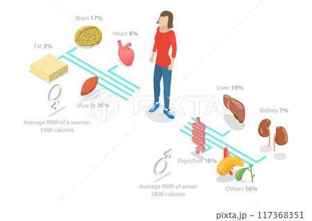 3D Isometric Flat  Illustration of Resting Metabolic Rate , Calories Consumption for Everyday Performances 117368351