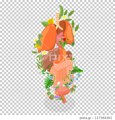 3D Isometric Flat  Illustration of Human Anatomy, Internal Organs Among Gardent Flowers and Plants 117368361
