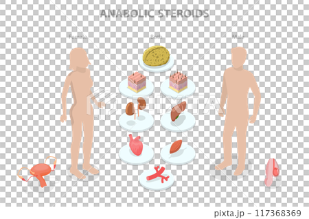 3D Isometric Flat Illustration of Anabolic Steroids, Performance-enhancing Drugs, Doping Use in Sport 3D Isometric Flat Illustration of Anabolic Steroids, Performance-enhancing Drugs, Doping Use in Sport 117368369