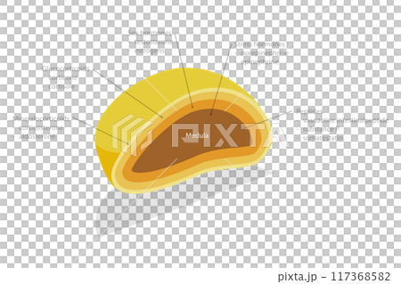3D Isometric Flat  Illustration of Adrenal Gland, Endocrine System 117368582