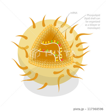 3D Isometric Flat  Illustration of RNA Vaccine, Drug for Produce an Immune Response 3D Isometric Flat  Illustration of RNA Vaccine, Drug for Produce an Immune Response 117368596