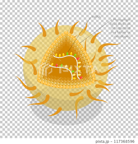 3D Isometric Flat  Illustration of RNA Vaccine, Drug for Produce an Immune Response 3D Isometric Flat  Illustration of RNA Vaccine, Drug for Produce an Immune Response 117368596