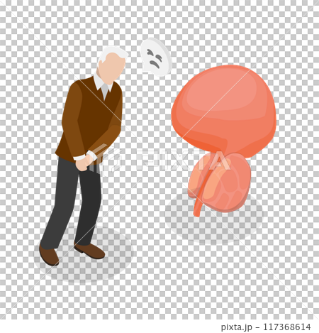 3D Isometric Flat Illustration of Enlarged Prostate, Problems of Male Reproductive System 3D Isometric Flat Illustration of Enlarged Prostate, Problems of Male Reproductive System 117368614