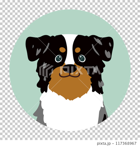 Simple and cute Australian Shepherd round icon illustration Simple and cute Australian Shepherd round icon illustration 117368967