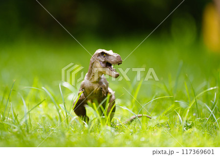 Child playing with dinosaur toy in sunny garden 117369601