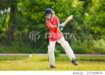 Kids playing cricket in summer park 117369679
