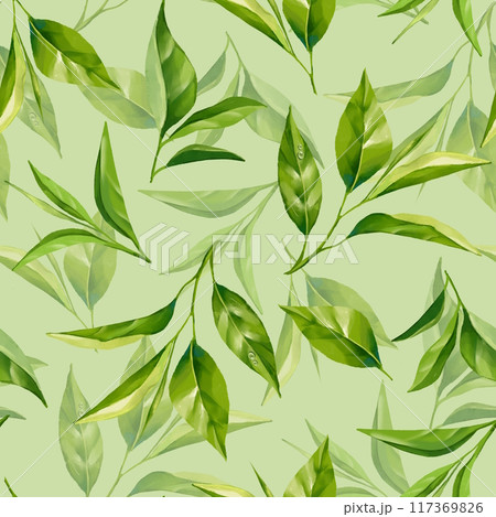 Seamless pattern with green tea leaves. Floral background Seamless pattern with green tea leaves. Floral background 117369826
