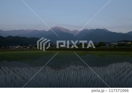 北杜市白州町、田植えの済んだ田んぼに朝焼けの南アルプス甲斐駒ケ岳が姿を落とす 117371066
