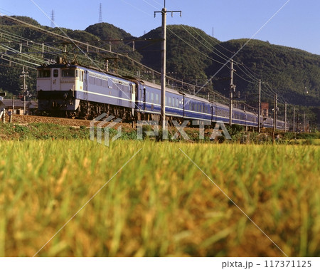 国鉄　鉄道　列車　寝台　特急　急行　稲穂　山崎　機関車　EF65 117371125