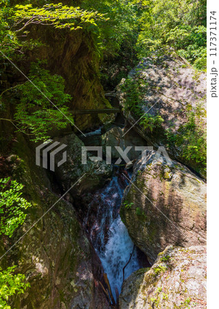 高知県仁淀川町 新緑の中津渓谷(仁淀ブルー) 高知県仁淀川町 新緑の中津渓谷(仁淀ブルー) 117371174