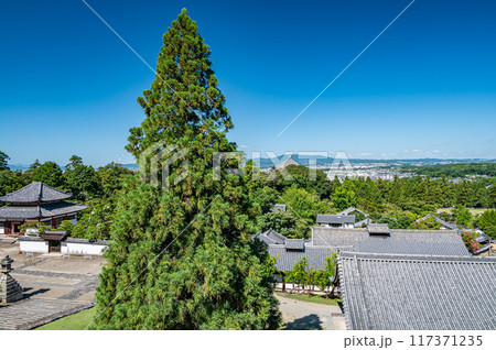 東大寺二月堂より眺める良弁杉と奈良市街 117371235