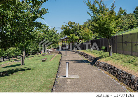 奈良若草山山麓の遊歩道 奈良若草山山麓の遊歩道 117371262