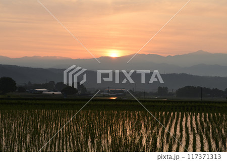 北杜市白州町から見る奥秩父の山から昇る朝日が空や田んぼを朱に染める 北杜市白州町から見る奥秩父の山から昇る朝日が空や田んぼを朱に染める 117371313