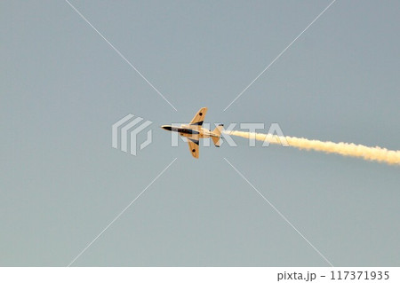 航空自衛隊のブルーインパルス 航空自衛隊のブルーインパルス 117371935