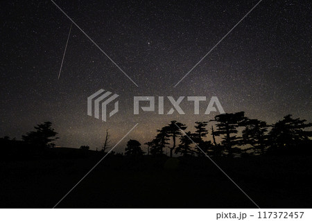 《ペルセウス座流星群》 ペルセウス座流星群の流星と星空 117372457