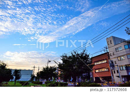 東京都立川市 うろこ雲が広がる朝の空 東京都立川市 うろこ雲が広がる朝の空 117372608