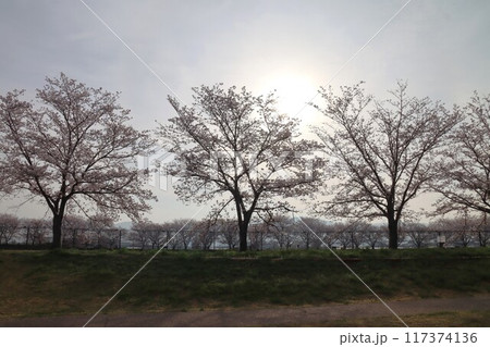 鍵・唐古遺跡 117374136