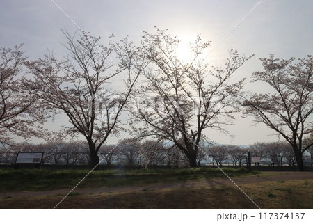 鍵・唐古遺跡 117374137