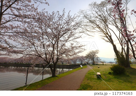 鍵・唐古遺跡 117374163