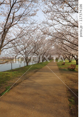 鍵・唐古遺跡 117374186