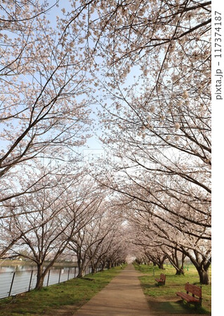 鍵・唐古遺跡 117374187