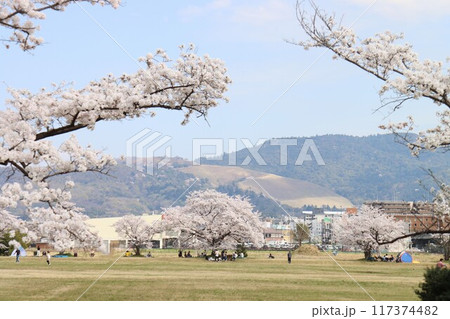 京奈和自転車道の景色 117374482