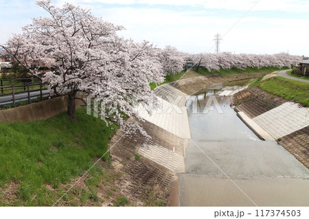 京奈和自転車道の景色 117374503