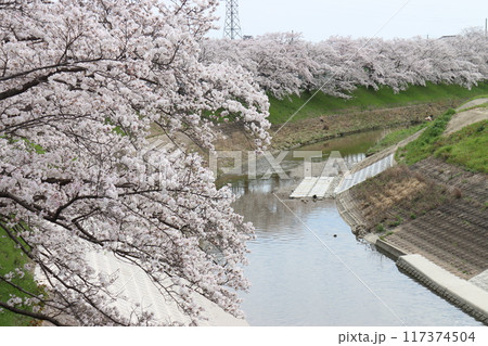 京奈和自転車道の景色 京奈和自転車道の景色 117374504