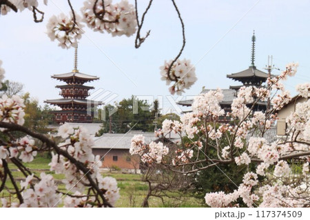 京奈和自転車道の景色 117374509