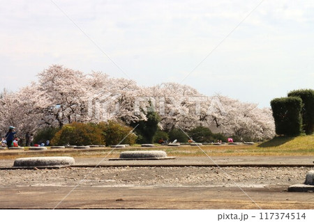 京奈和自転車道の景色 京奈和自転車道の景色 117374514