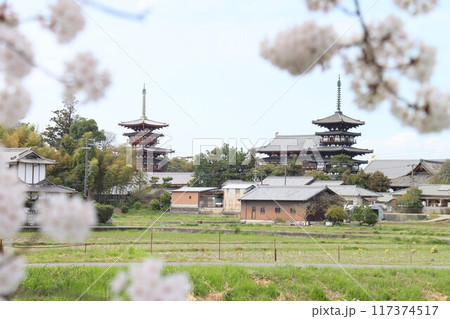 京奈和自転車道の景色 京奈和自転車道の景色 117374517