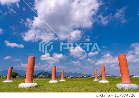 奈良県橿原市　盛夏の藤原宮跡と畝傍山 117374520