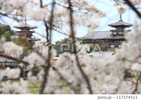 京奈和自転車道の景色 117374521