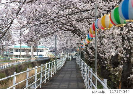 京奈和自転車道の景色 117374544