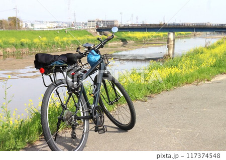 京奈和自転車道の景色 京奈和自転車道の景色 117374548