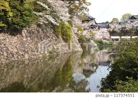 京奈和自転車道の景色 京奈和自転車道の景色 117374551